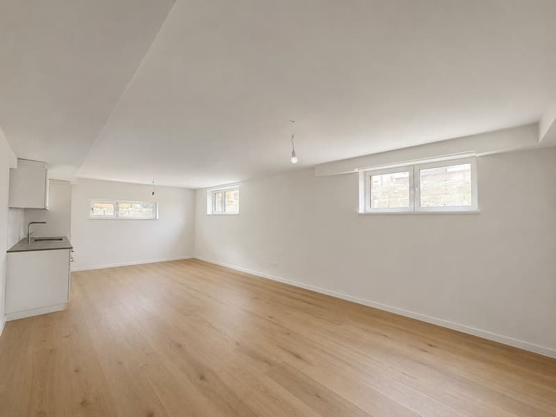 FIRST RENTAL AFTER RENOVATION (2)