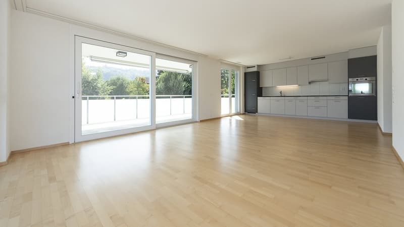 Habitation moderne avec un grand balcon ensoleillé (2)