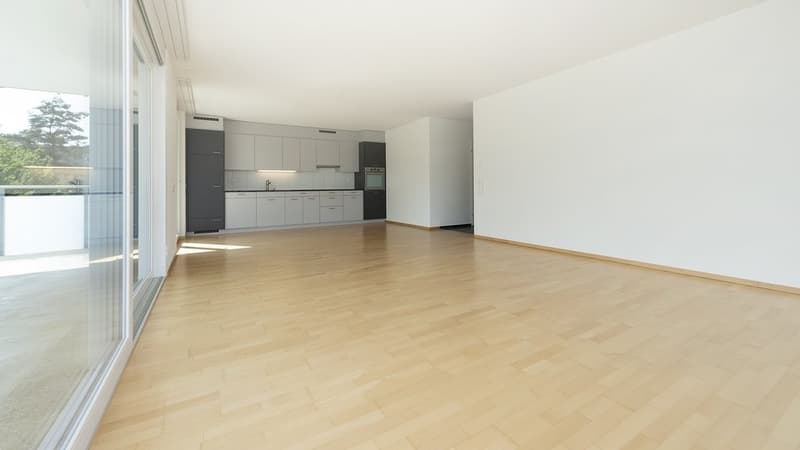 Habitation moderne avec un grand balcon ensoleillé (4)