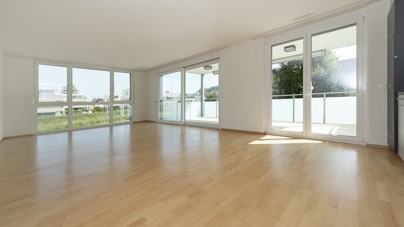 Habitation moderne avec un grand balcon ensoleillé (5)