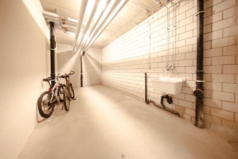 Espace de loisirs polyvalent à Däniken (2)