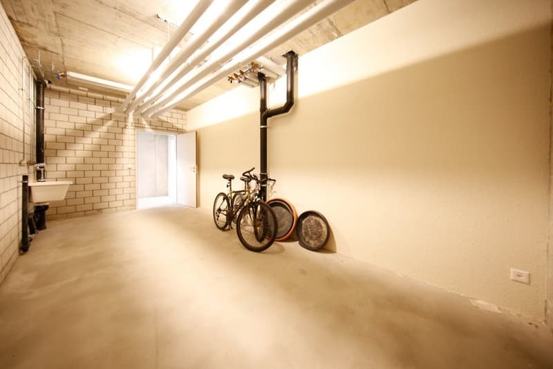 Espace de loisirs polyvalent à Däniken (5)