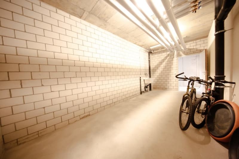 Espace de loisirs polyvalent à Däniken (4)