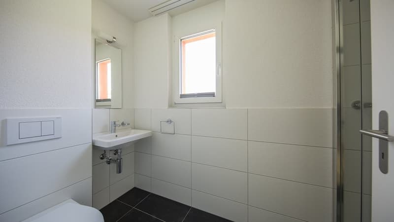 Appartamento attico da sogno ad Altstätten (8)