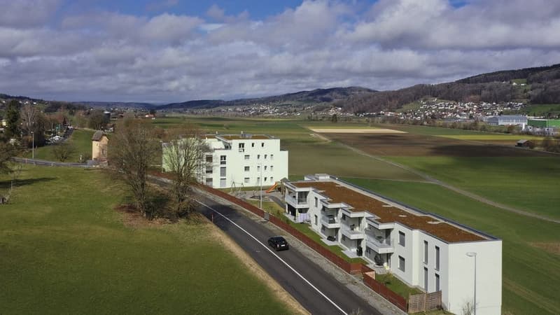 SPACIOUS AND MODERN 2.5 ROOM APARTMENT IN REINACH AG (1)