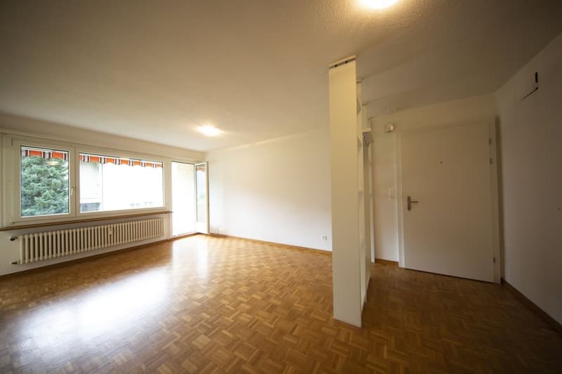 Apartment in an idyllic location in Azmoos (2)