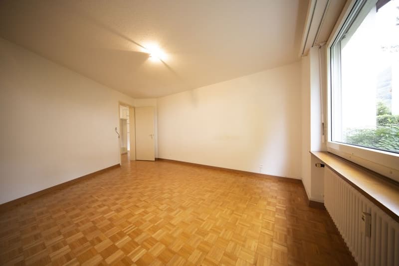 Apartment in an idyllic location in Azmoos (6)