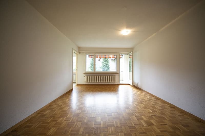 Apartment in an idyllic location in Azmoos (4)