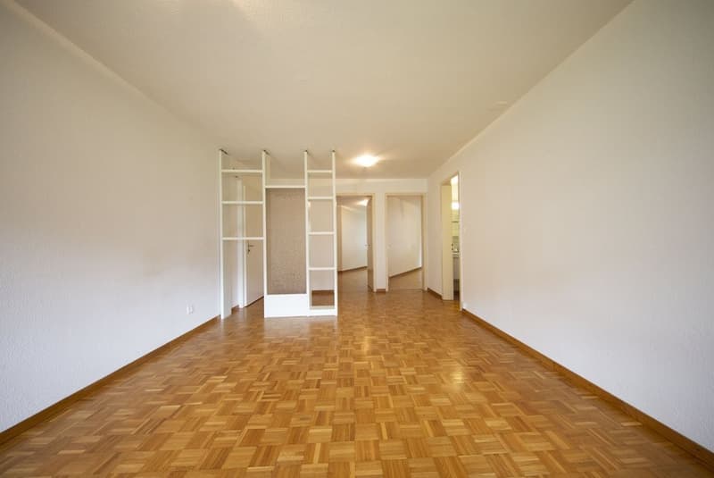 Apartment in an idyllic location in Azmoos (3)