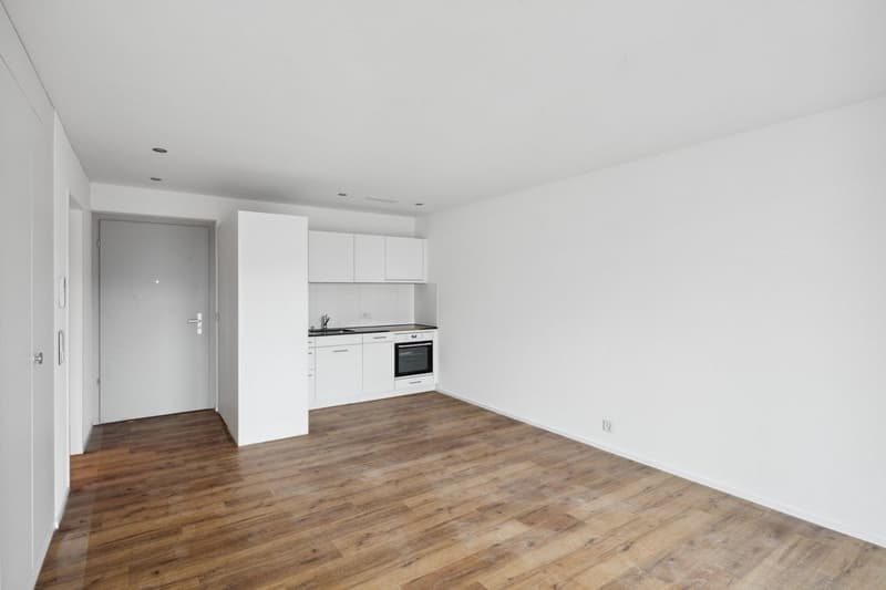 APPARTEMENT DE LUXE POUR COUPLES, CÉLIBATAIRES ET SENIORS (4)