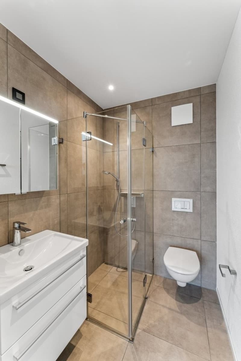 3.5 ROOM GARDEN APARTMENT SEEKING SUBTENANT (9)