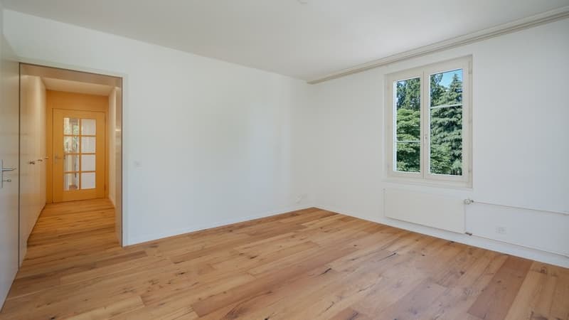 CHARMANTE 1.5 ZIMMER - IM HERZEN VON BADEN (3)