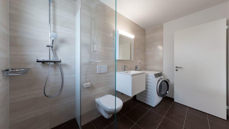 2.5 Room Apartment on the Ground Floor for Rent (7)