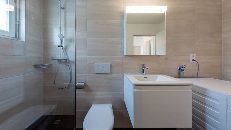 2.5 Room Apartment on the Ground Floor for Rent (6)