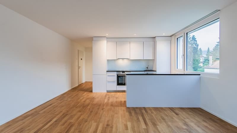 MODERNE WOHNUNG AN BEVORZUGTER LAGE IN REINACH (7)
