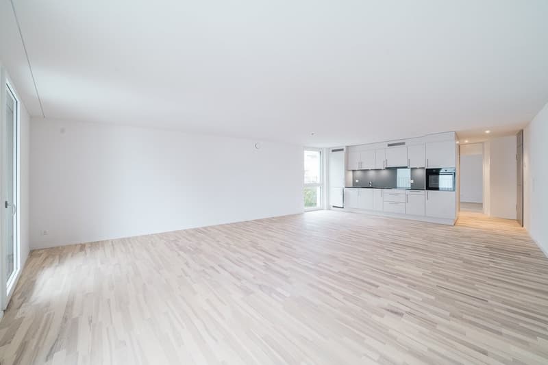 Modern and bright 2.5-room apartment in Grenchen (2)