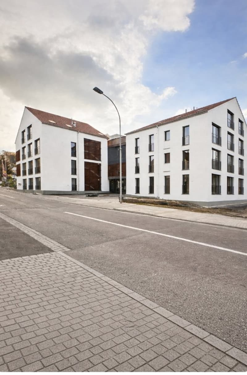 MODERN 3.5 ROOM APARTMENT IN BONISWIL (1)
