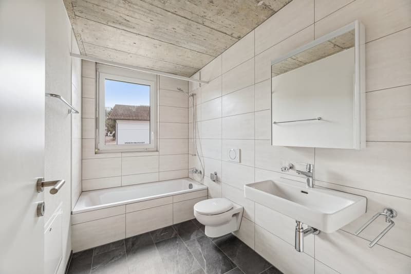 MODERN 3.5 ROOM APARTMENT IN BONISWIL (4)