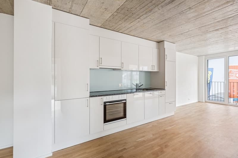 MODERN 3.5 ROOM APARTMENT IN BONISWIL (5)