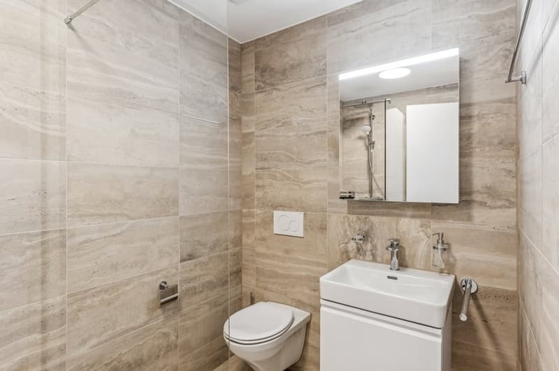 TOP-MODERN 2.5-ROOM APARTMENT IN MENZIKEN (7)