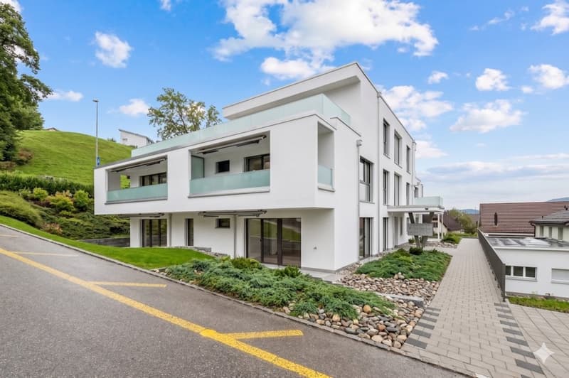 TOP-MODERN 2.5-ROOM APARTMENT IN MENZIKEN (1)