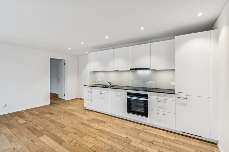 TOP-MODERN 2.5-ROOM APARTMENT IN MENZIKEN (2)