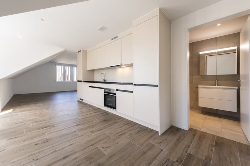 Modern and Spacious Maisonette Apartment (4)