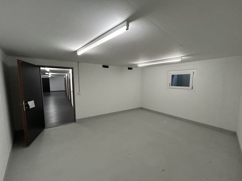 VERSATILE USABLE CRAFT ROOM IN REINACH (3)