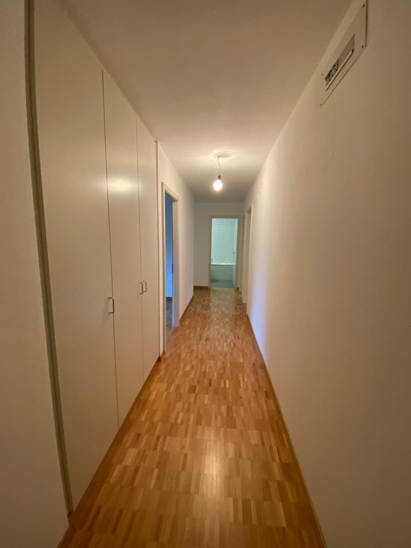 CHARMING 3 ROOM APARTMENT LOOKING FOR SUBTENANT (4)