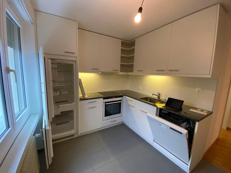 CHARMING 3 ROOM APARTMENT LOOKING FOR SUBTENANT (10)