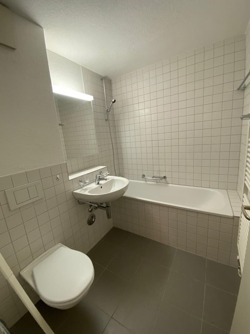 CHARMING 3 ROOM APARTMENT LOOKING FOR SUBTENANT (7)