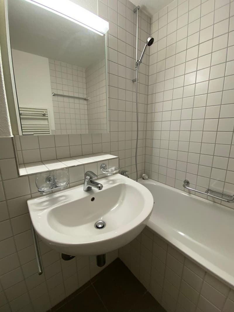CHARMING 3 ROOM APARTMENT LOOKING FOR SUBTENANT (8)