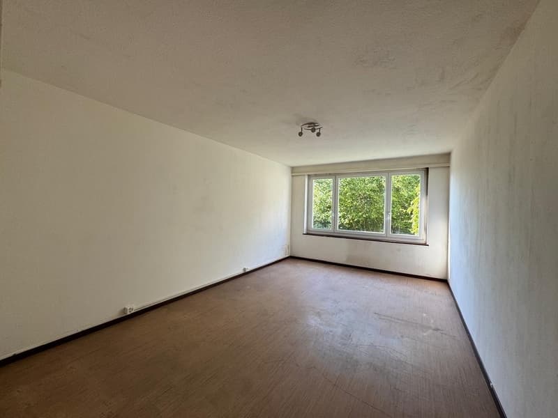 Studio accogliente a Baden in affitto - Limitato fino al 30.09.2027 (3)