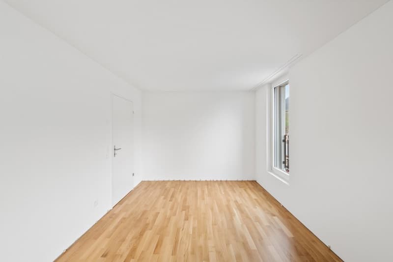 APPARTAMENTO SPAZIOSO E LUMINOSO A SCHINZNACH (5)