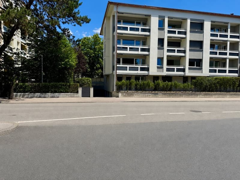MODERN LIVING - BERN - BÜMPLITZ - GROUND FLOOR - FIRST OCCUPANCY AFTER RENOVATION (3)