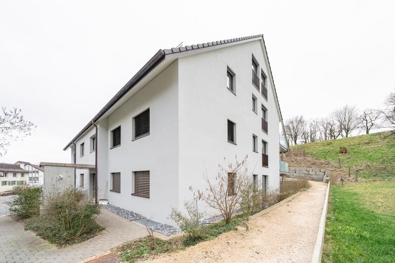 APPARTEMENT 4.5 PIÈCES MODERNE À STÜSSLINGEN (1)