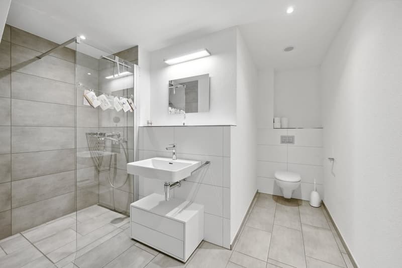 APPARTEMENT 4.5 PIÈCES MODERNE À STÜSSLINGEN (3)