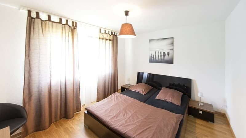 Appartement lumineux 3.5 pièces à Stein (3)