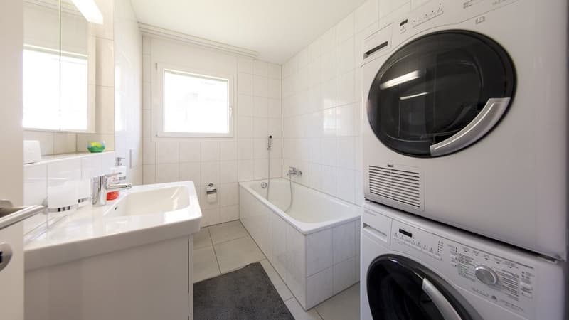 Appartement lumineux 3.5 pièces à Stein (7)