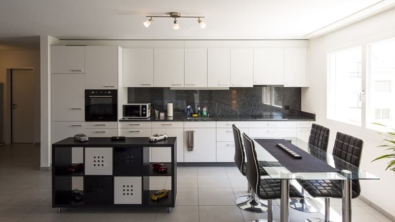 Appartement lumineux 3.5 pièces à Stein (2)