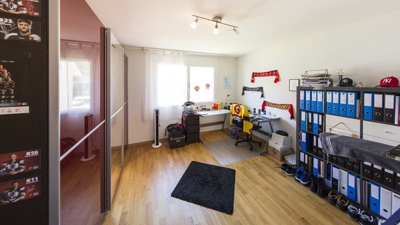 Appartement lumineux 3.5 pièces à Stein (4)