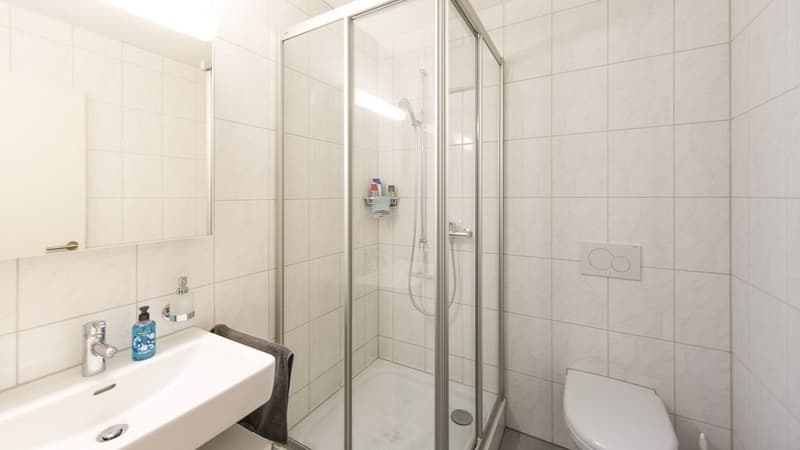 Appartement lumineux 3.5 pièces à Stein (6)