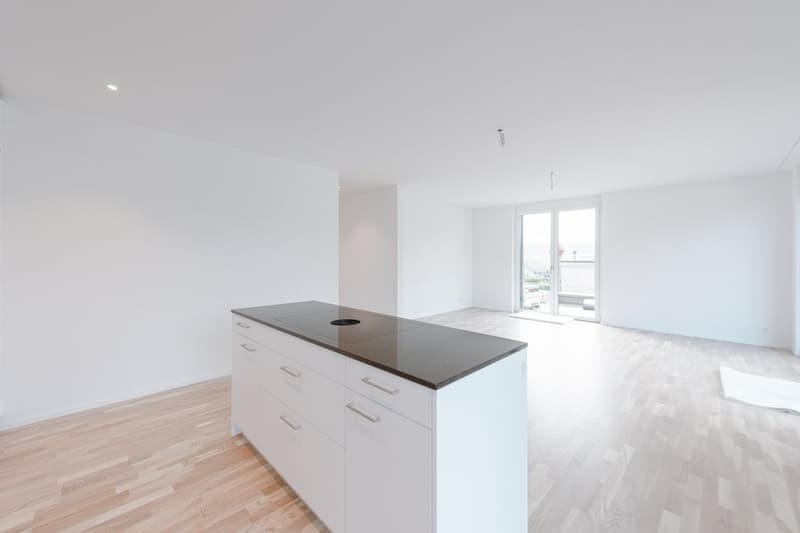 Appartamento moderno in una zona tranquilla a Schafisheim (3)