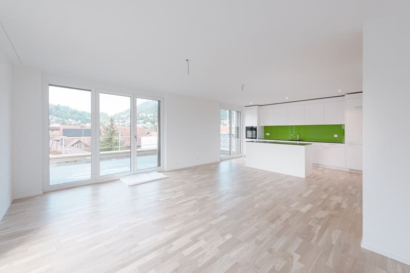 Appartamento moderno in una zona tranquilla a Schafisheim (2)