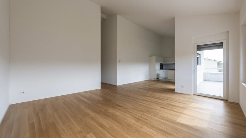 Cozy 4.5 Room Apartment in Hitzkirch (9)