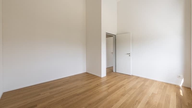 Cozy 4.5 Room Apartment in Hitzkirch (7)