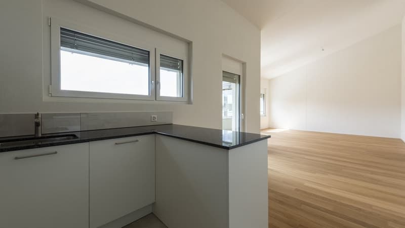 Cozy 4.5 Room Apartment in Hitzkirch (5)