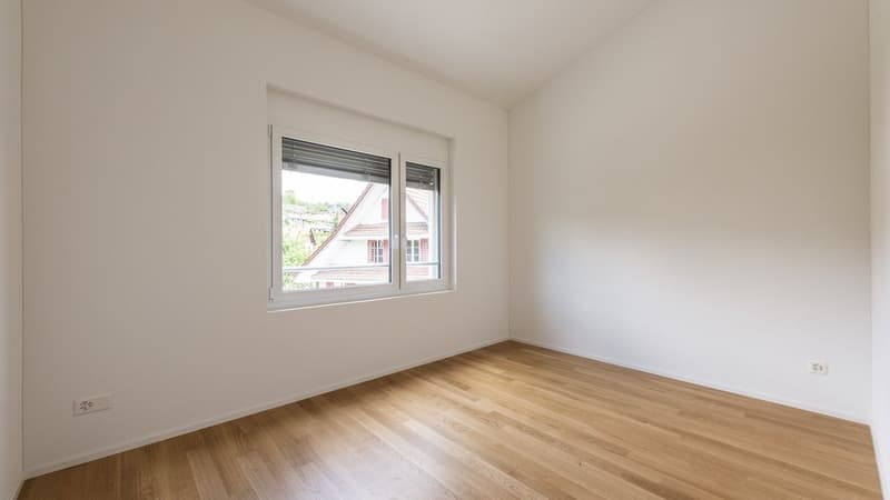 Cozy 4.5 Room Apartment in Hitzkirch (8)