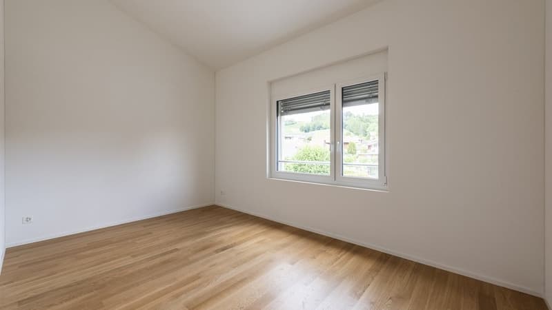 Cozy 4.5 Room Apartment in Hitzkirch (10)