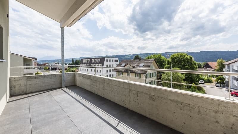Cozy 4.5 Room Apartment in Hitzkirch (2)